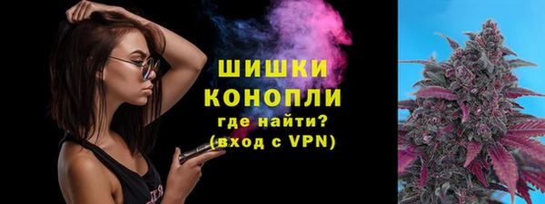 винт Ельня