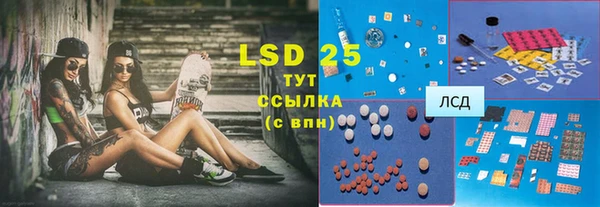 винт Ельня