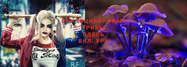 трава Заводоуковск