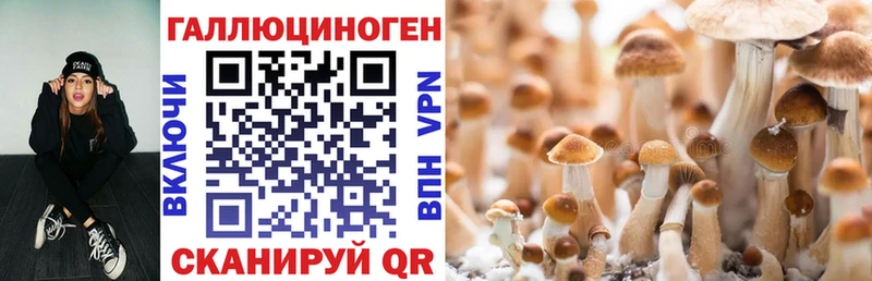 Галлюциногенные грибы Psilocybine cubensis  Кадников 