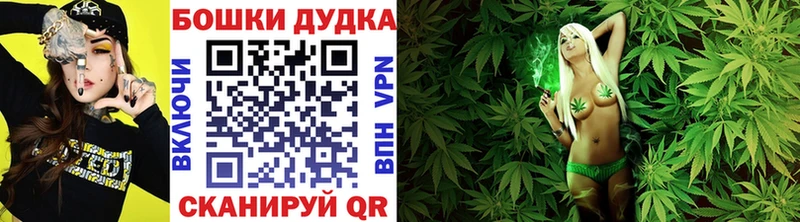 как найти закладки  Кадников  hydra как войти  Канабис SATIVA & INDICA 